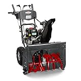 Briggs & Stratton 1696619, 250cc