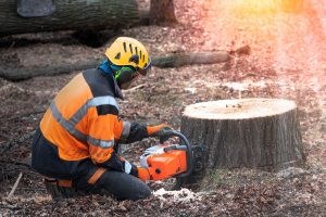 best way to kill a tree stump
