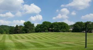 fancy lawn mowing patterns techniques